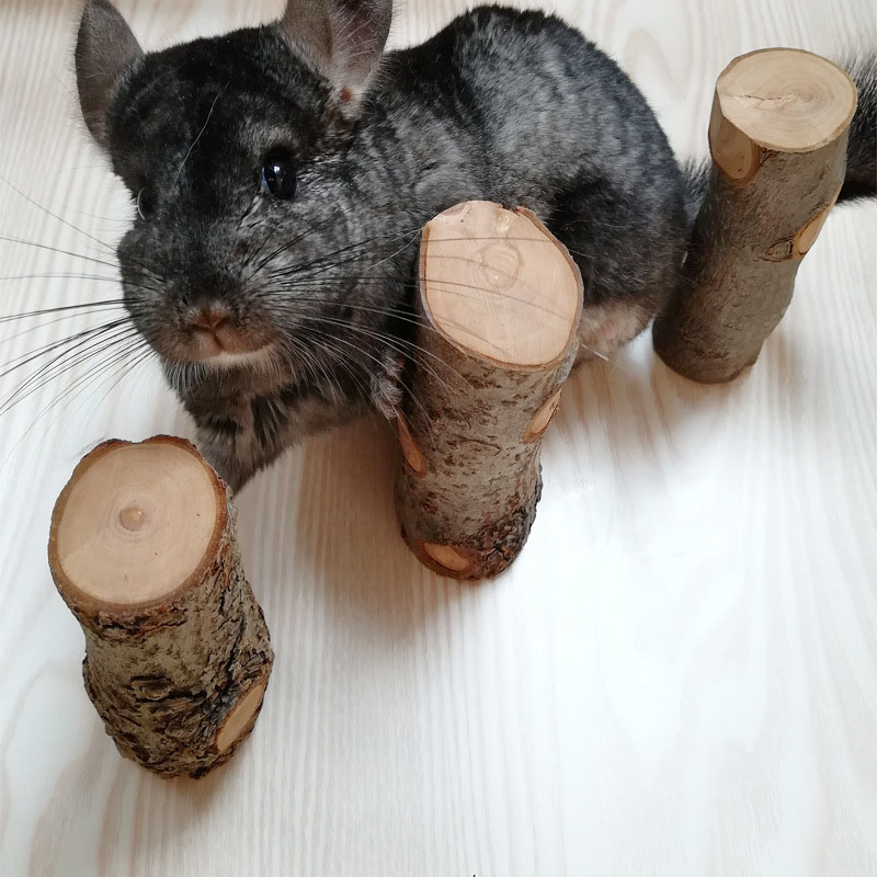 Woodworking Rabbet - Pet Hamster Toy Natural Apple Tree