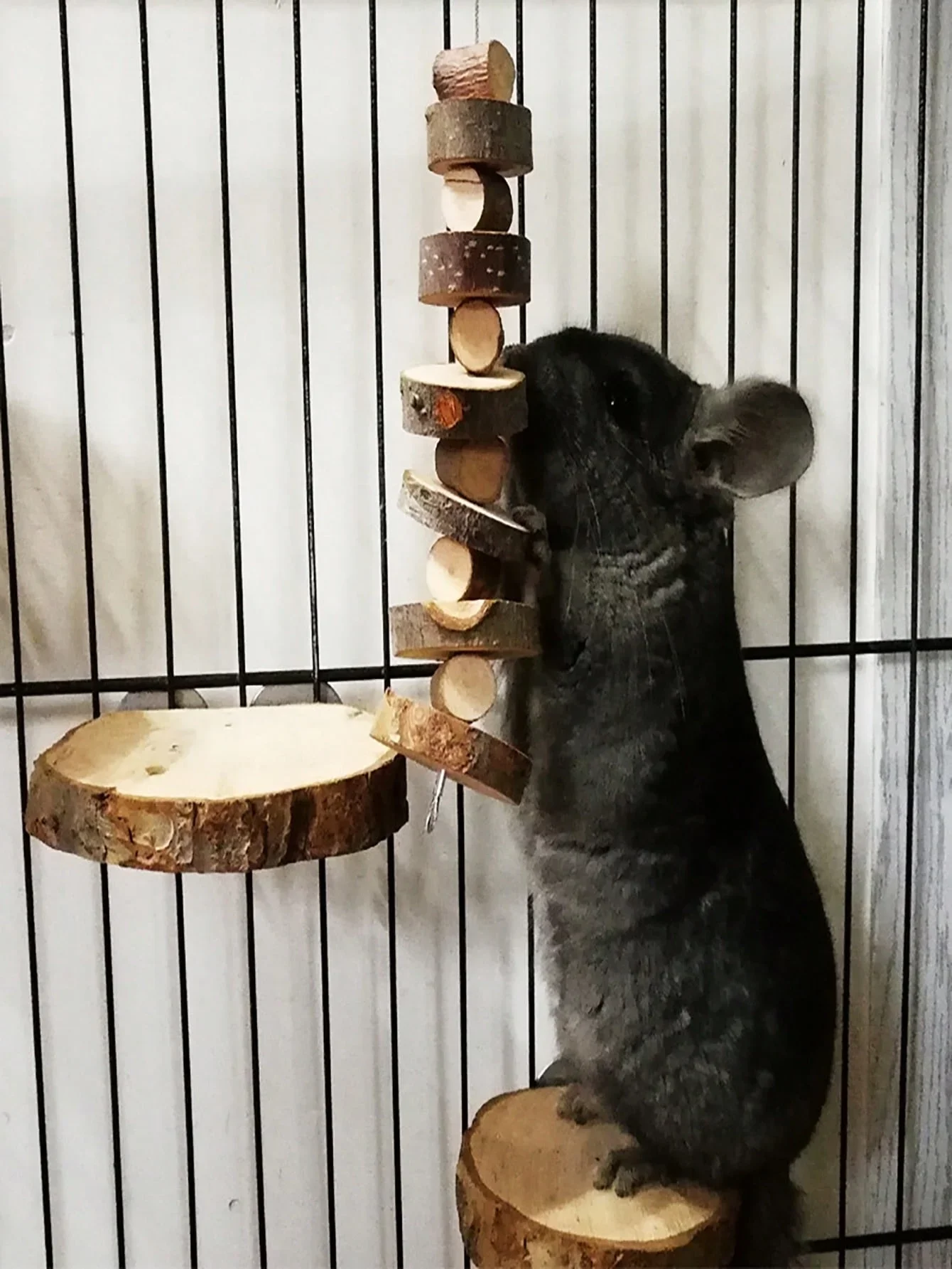 Hamster Rabbit Chew Toy Natura - Woodworking Rabbet recension och pris