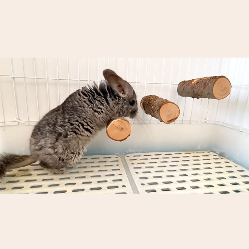 Pet Hamster Toy Natural Apple  - Woodworking Rabbet recension och pris